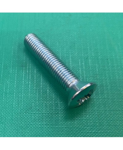 Door Hinge to Bulkhead Screw Series 3 79221