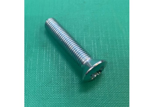 Door Hinge to Bulkhead Screw Series 3 79221